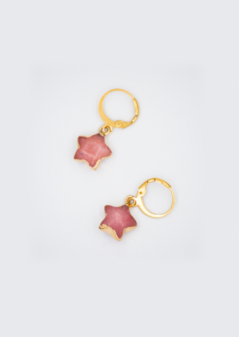 Gouden stainless steel oorbellen met een ster van roze steen